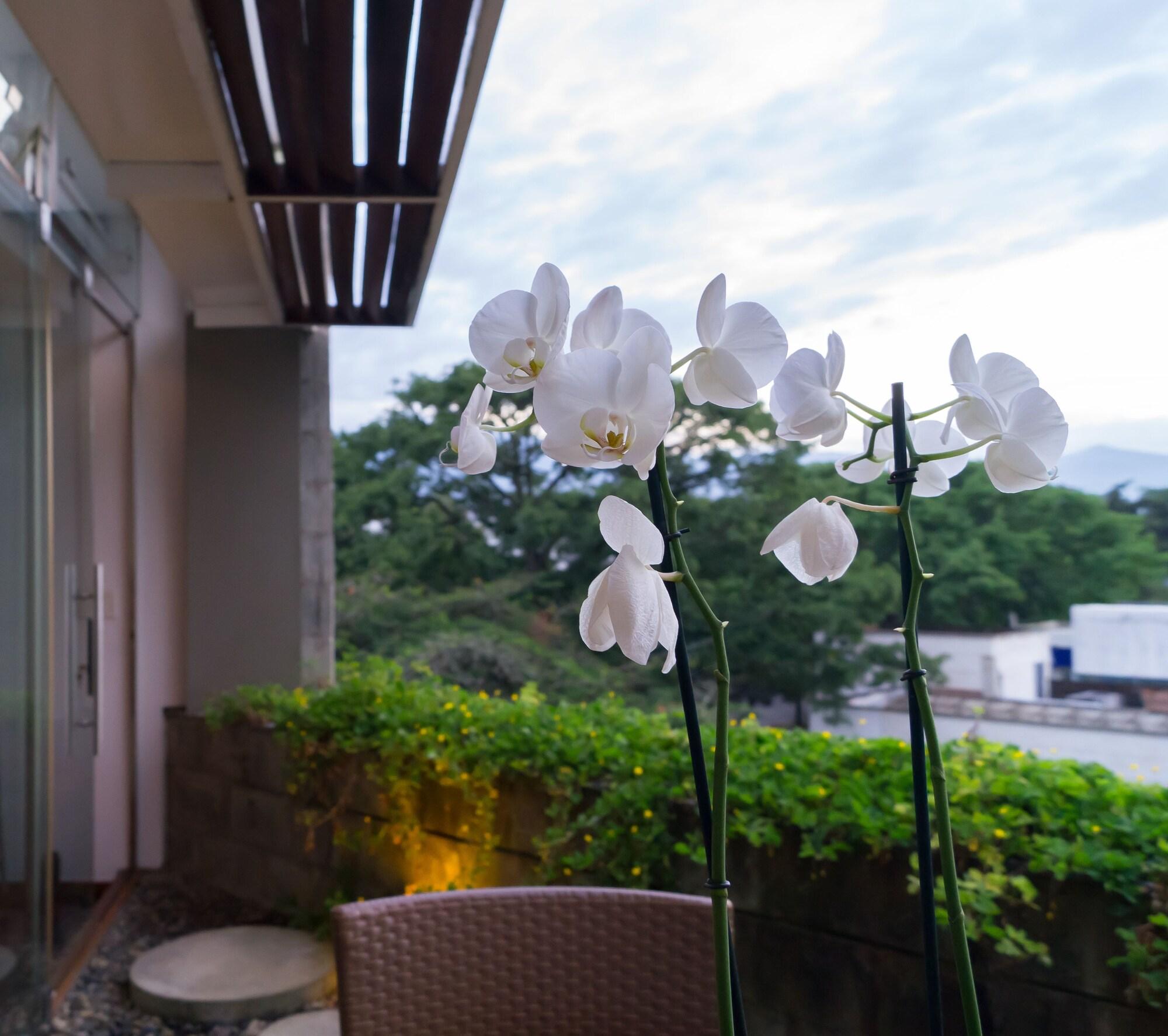 Acquasanta Lofts Hotel Cali Zewnętrze zdjęcie